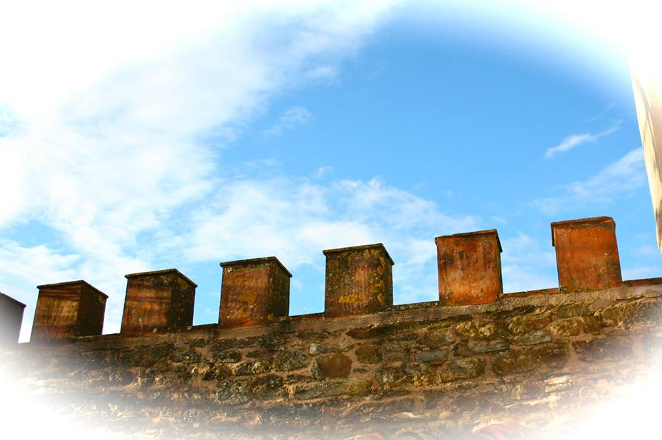 535894_159626184236158_1385664362_n